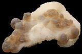 Lot: to Natural Chalcedony Nodules - Pieces #78041-2